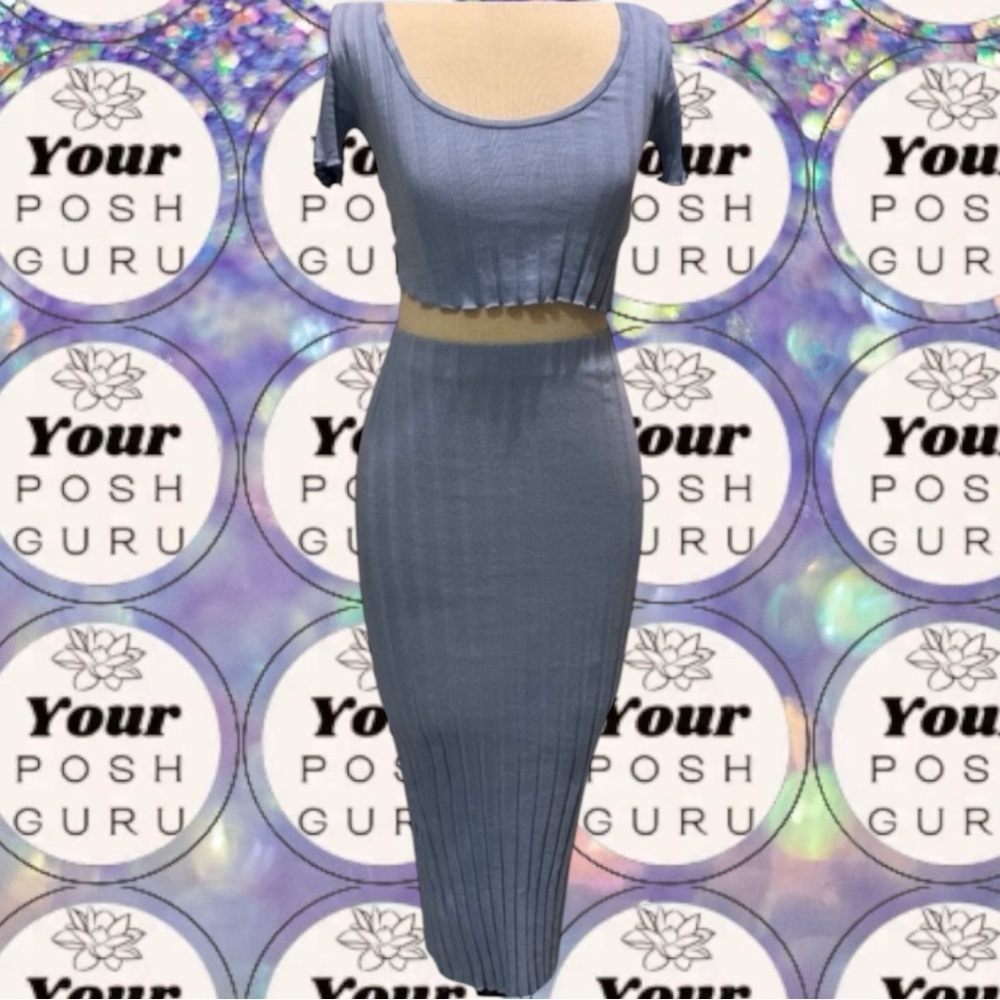 🎉3/$30 Zara Blue Midi Skirt knit 2 piece matching set medium